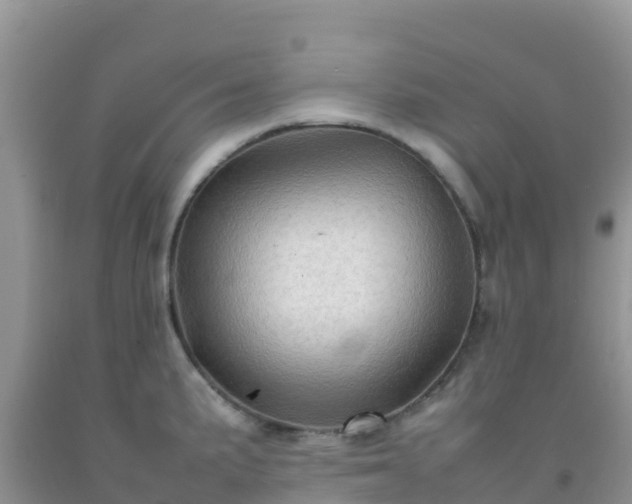 X0000092071191200709191156