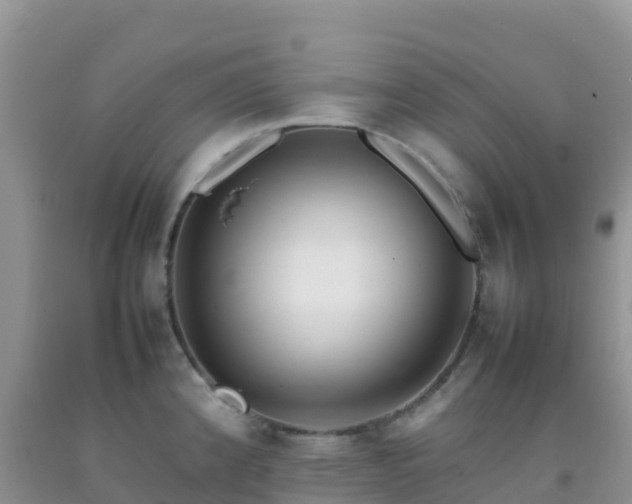 X0000092071192200709191156