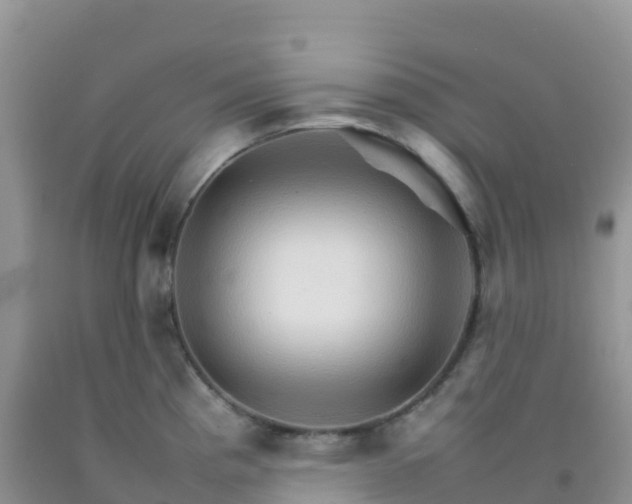 X0000092071193200709191156
