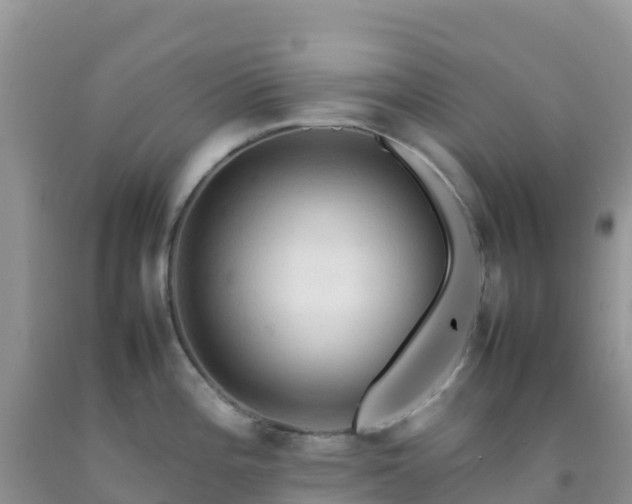 X0000092071196200709191156