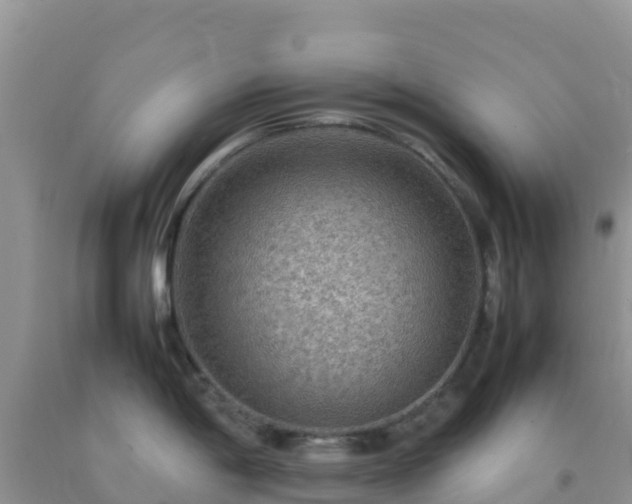 X0000092071198200709191156