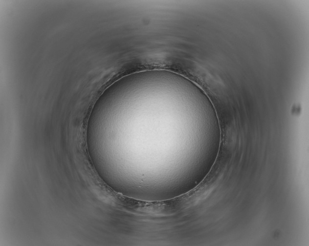 X0000092071201200709191156