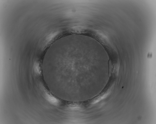 X0000092071202200709191156