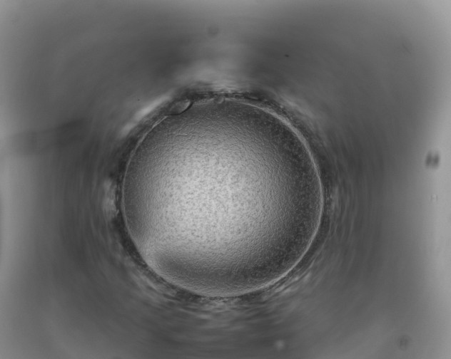 X0000092071205200709191156