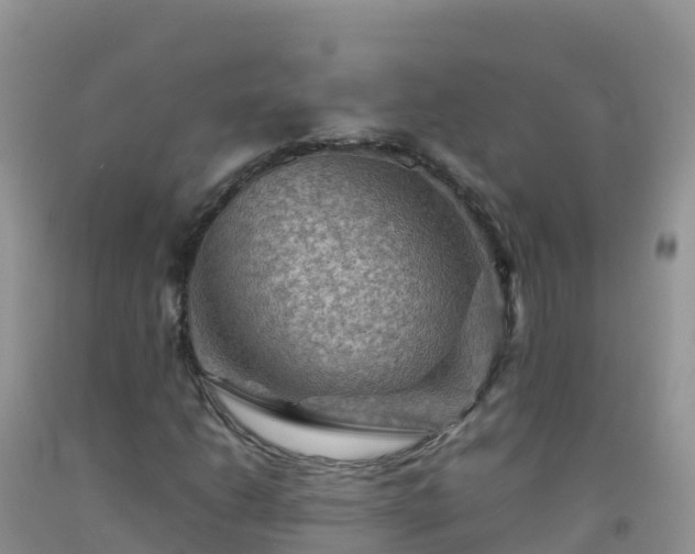 X0000092071206200709191156