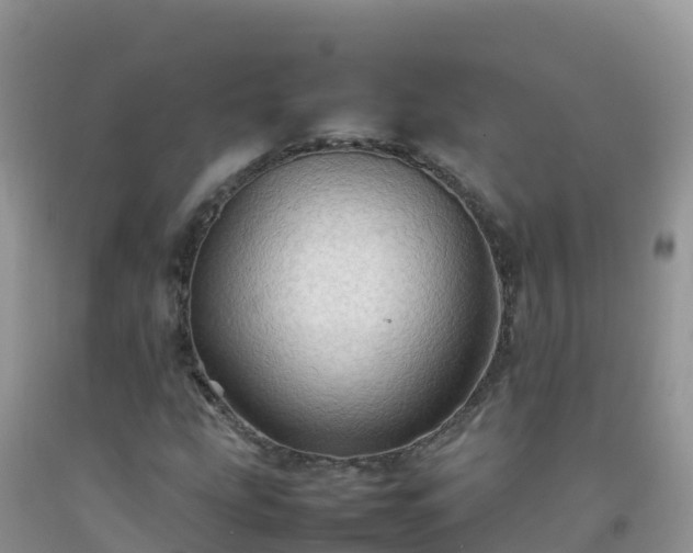 X0000092071207200709191156