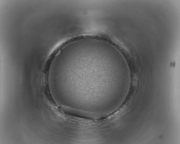 X0000092071208200709191156
