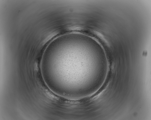 X0000092071209200709191156