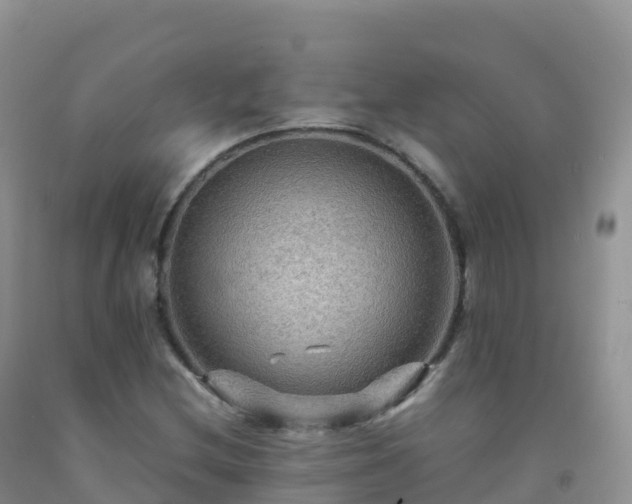 X0000092071212200709191156