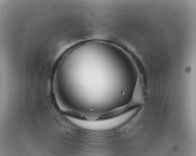 X0000092071214200709191156