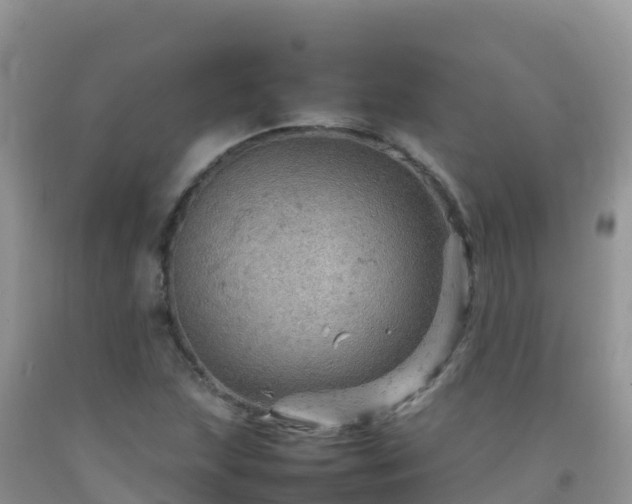 X0000092071215200709191156