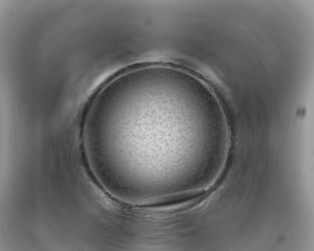X0000092071216200709191156