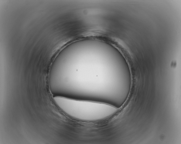 X0000092071217200709191156