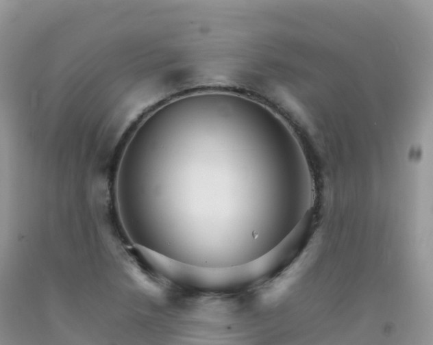 X0000092071218200709191156
