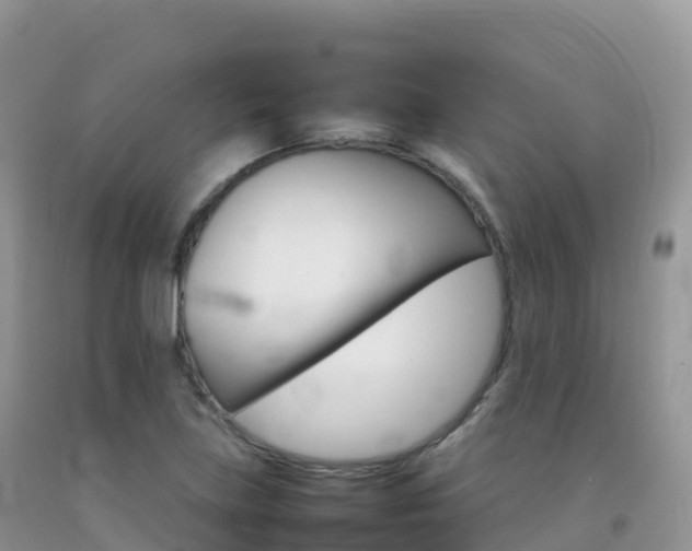 X0000092071219200709191156