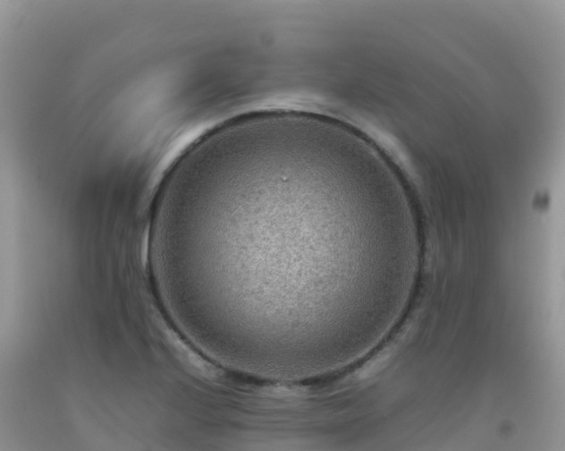 X0000092071224200709191156