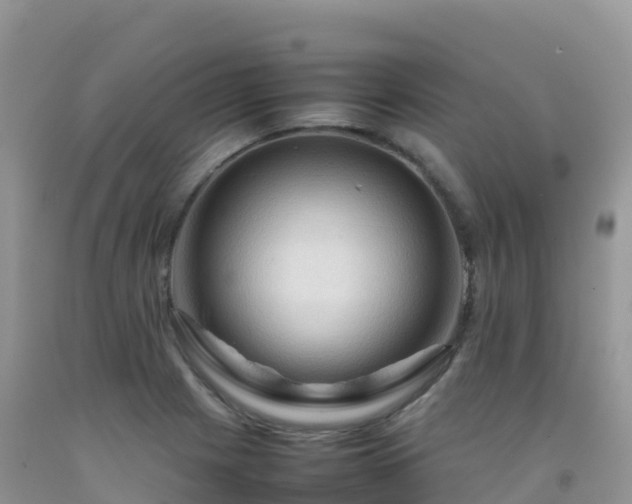 X0000092071225200709191156