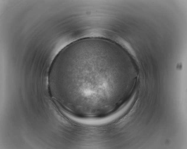 X0000092071226200709191156