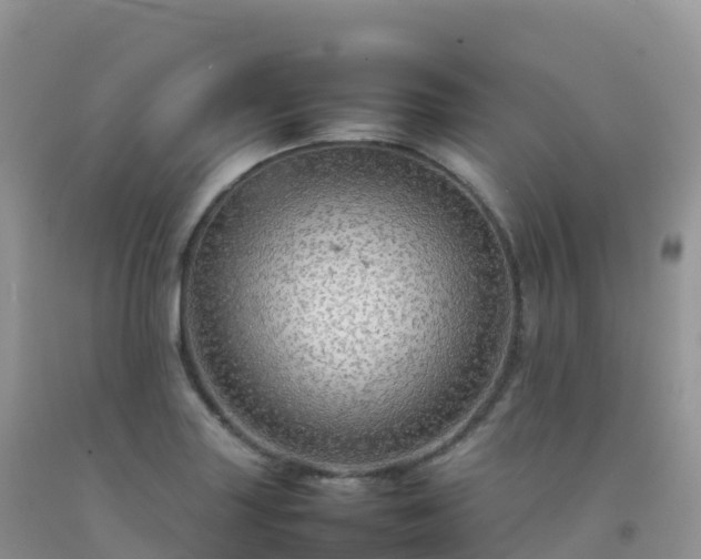 X0000092071227200709191156