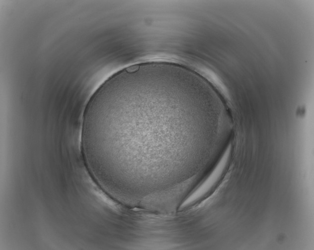 X0000092071228200709191156
