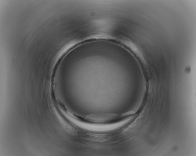 X0000092071229200709191156