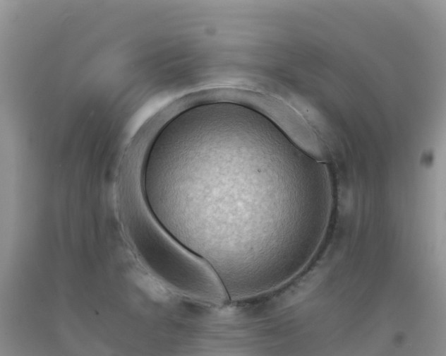 X0000092071230200709191156
