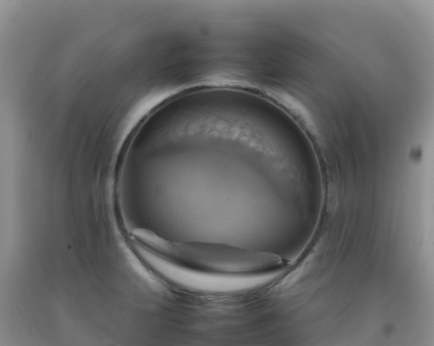 X0000092071231200709191156