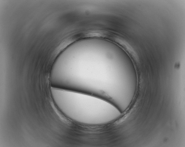 X0000092071233200709191156