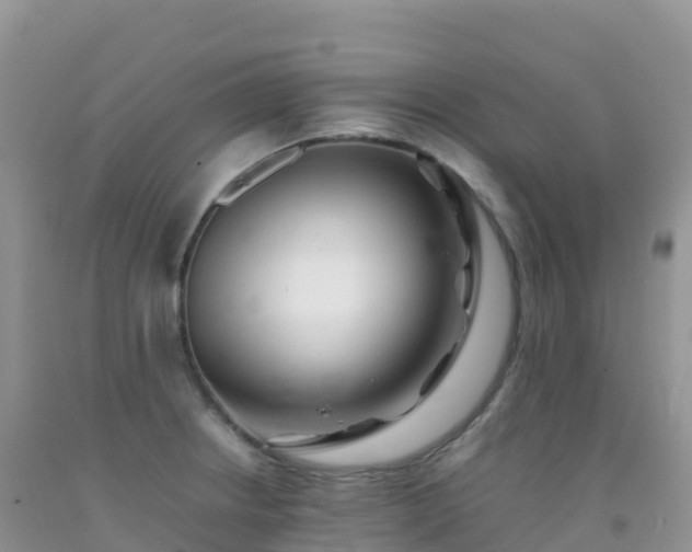 X0000092071234200709191156