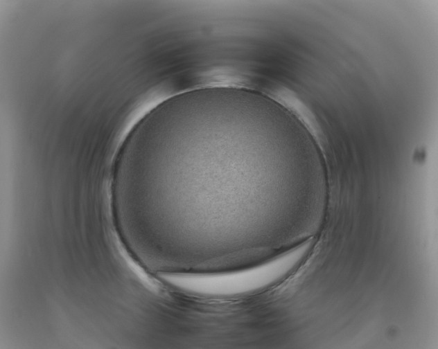 X0000092071235200709191156