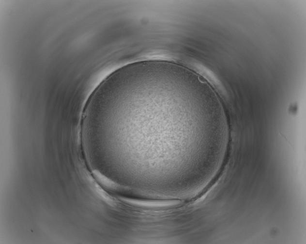 X0000092071236200709191156