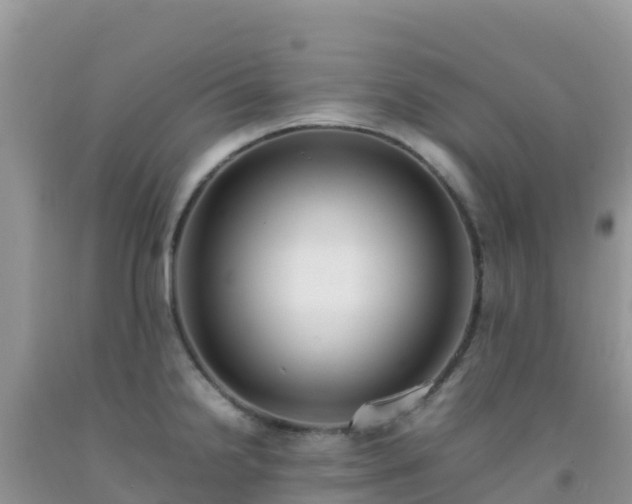 X0000092071238200709191156