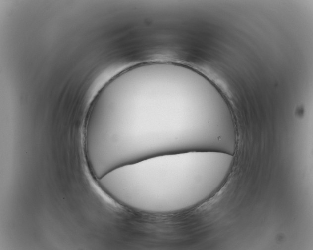X0000092071239200709191156