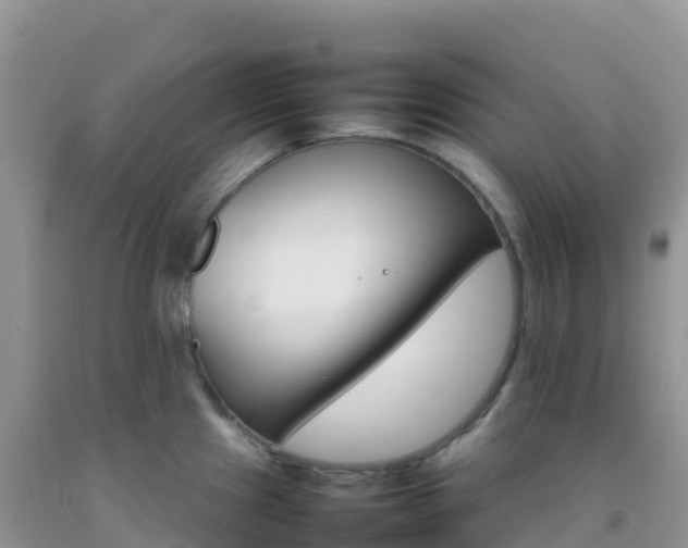 X0000092071241200709191156