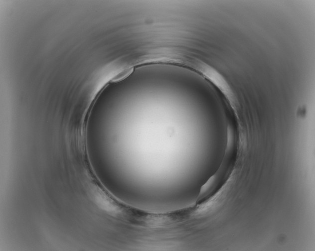 X0000092071242200709191156