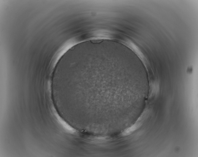 X0000092071243200709191156