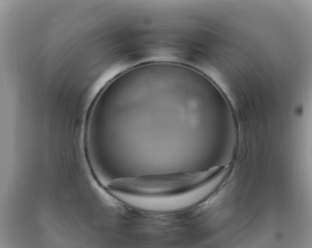 X0000092071245200709191156