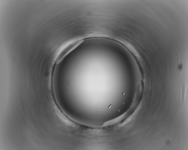 X0000092071246200709191156