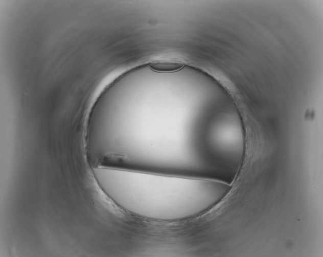 X0000092071248200709191156