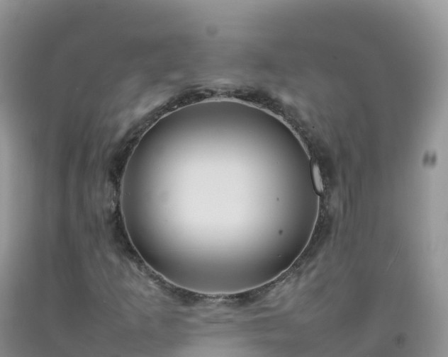 X0000092071253200709191156