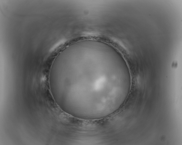 X0000092071254200709191156