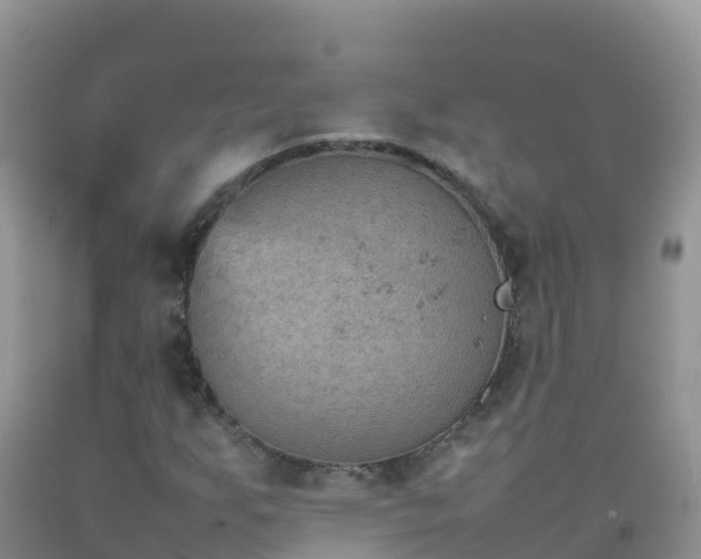 X0000092071255200709191156