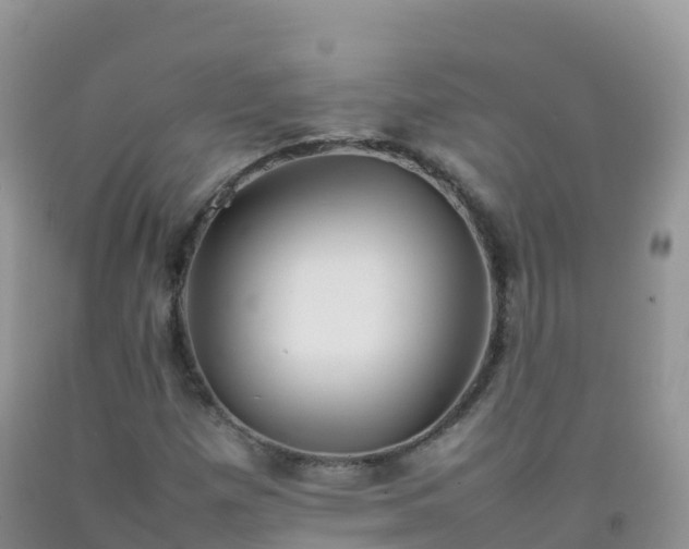 X0000092071257200709191156
