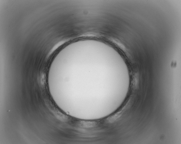 X0000092071258200709191156