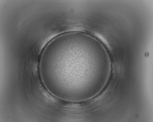 X0000092071260200709191156