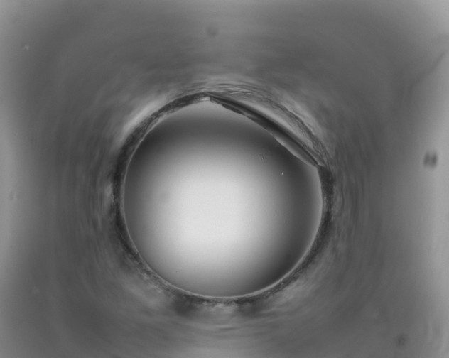 X0000092071261200709191156