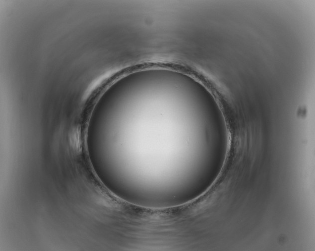 X0000092071262200709191156