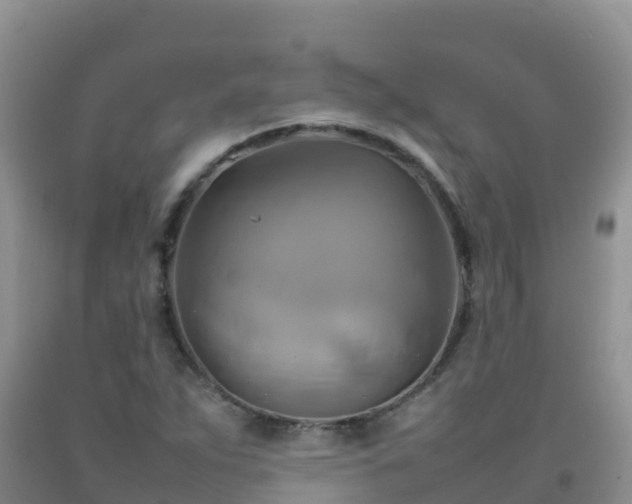 X0000092071263200709191156