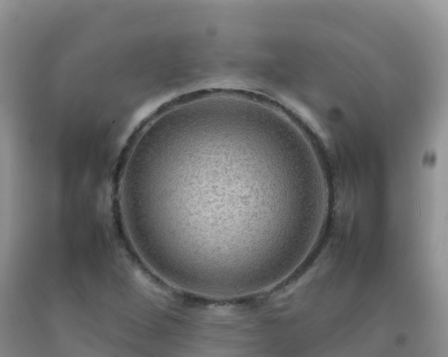 X0000092071264200709191156