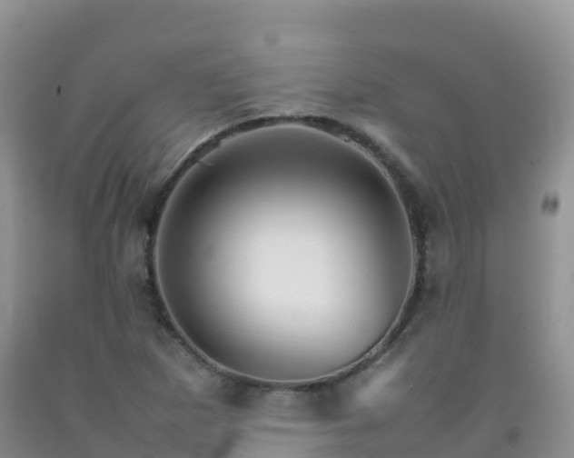 X0000092071265200709191156